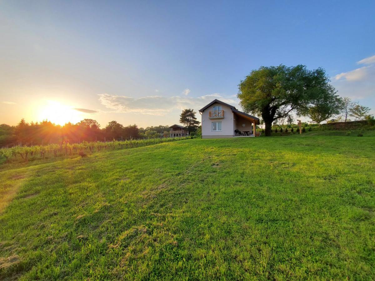 Holiday Home Vinovilla Kutjevo Екстериор снимка
