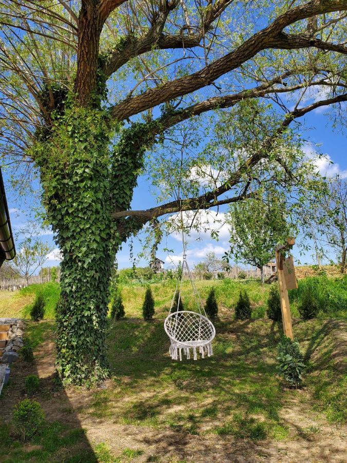 Holiday Home Vinovilla Kutjevo Екстериор снимка