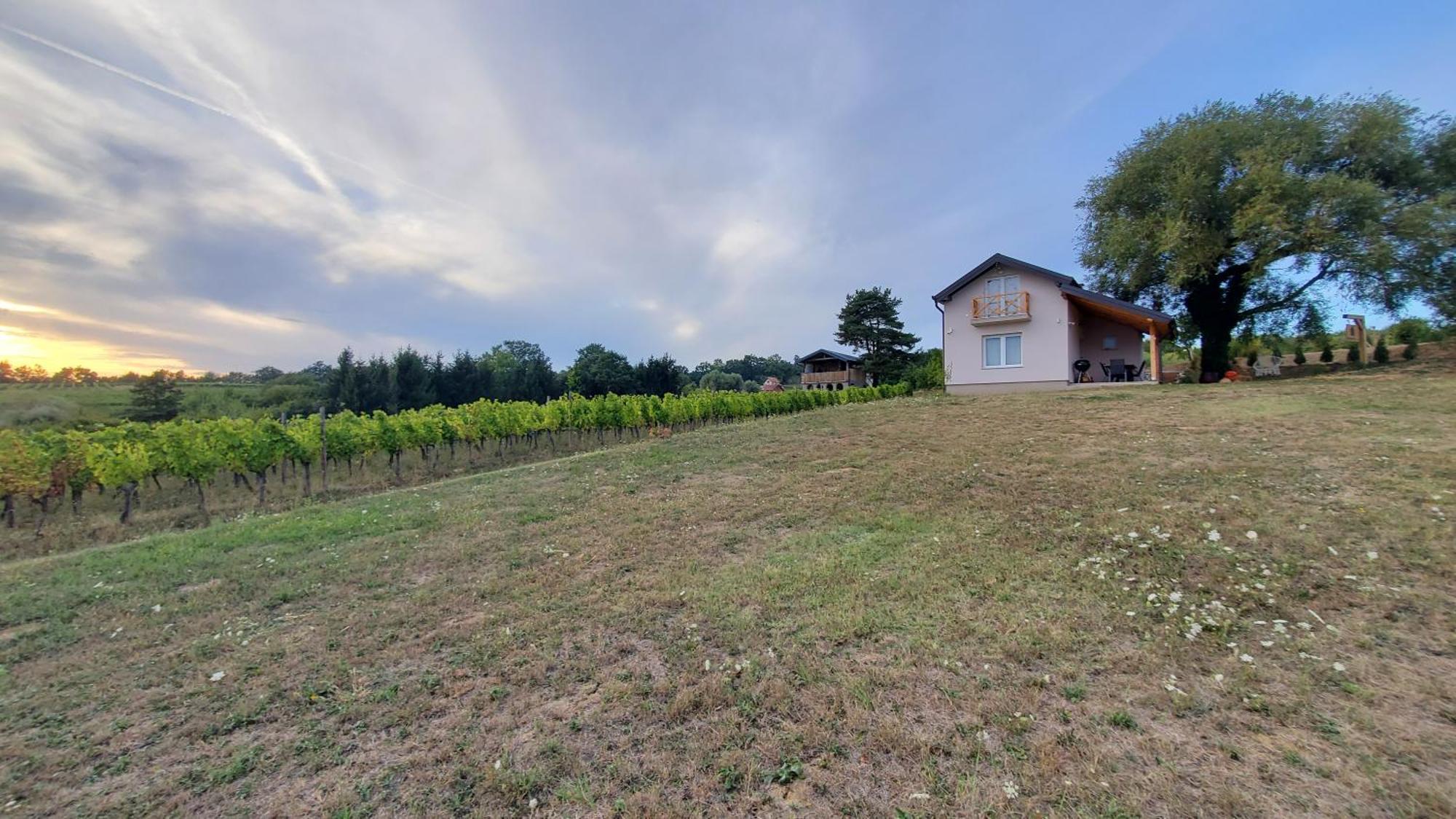 Holiday Home Vinovilla Kutjevo Екстериор снимка